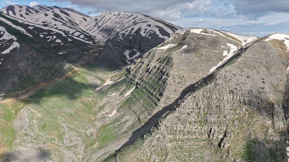 Beyazsu Yaylası’nda kartpostallık görüntü! Yılkı atları dronla görüntülendi 7